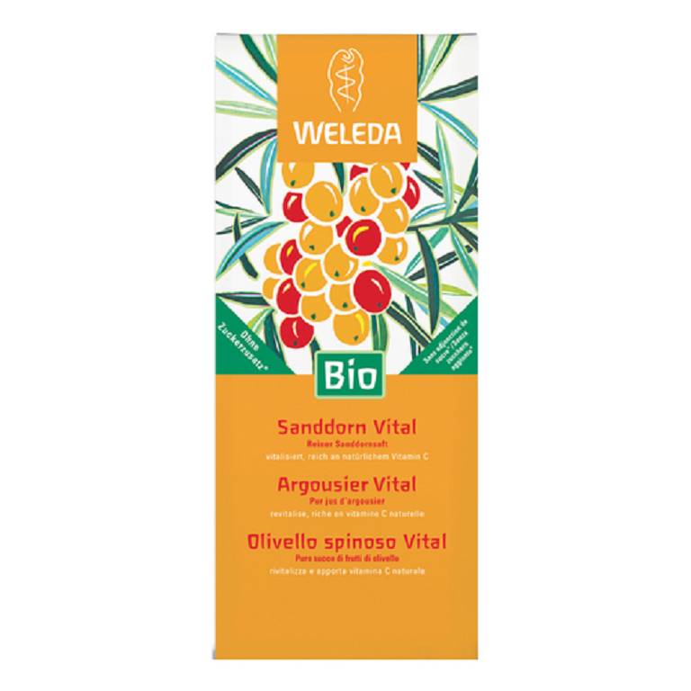 OLIVELLO SPINOSO VITAL SUCCO